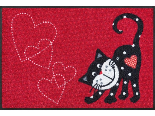 [90195945 1273418] wash+dry Fussmatte Romeo in Love 50 cm x 75 cm