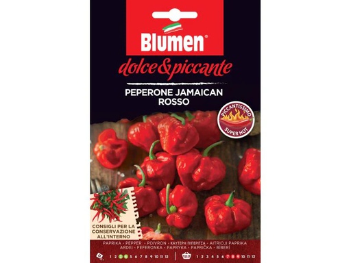 [90029824 848181] Blumen Samen Paprika Jamaicon rosso