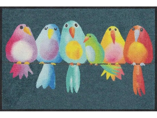 [90199495 1275870] Salonlöwe Fussmatte Rainbow Birds 50 cm x 75 cm