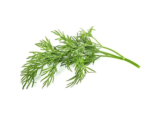 [90030465 996911] Click and Grow Samen Dill