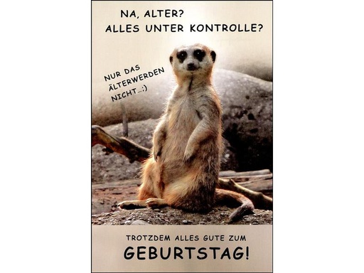 [90200112 1284511] ABC Geburtstagskarte Na Alter? A4