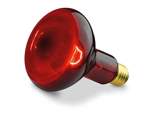 [90030486 902124] Beurer Infrarotlampe IL 11 Ersatzstrahler