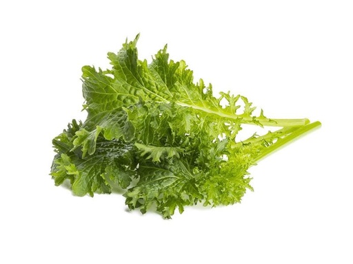 [90200312 1269243] Click and Grow Samen Wasabi-Senf 3er-Pack