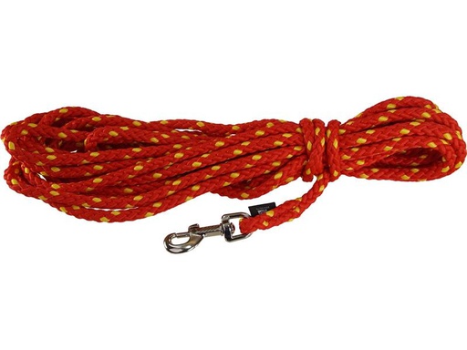[90202986 1281315] Grossenbacher Schleppleine 1 cm / 10 m, Rot/Gelb