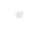 Partydeco Hochzeitsaccessoire Autodekoration Rose Selbstklebend Weiss