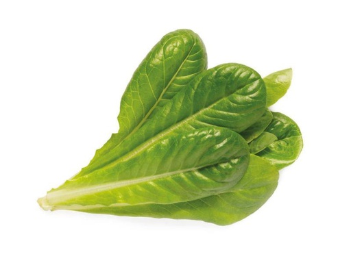 [90031722 996925] Click and Grow Samen Römersalat
