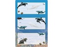 Herma Stickers Schuletiketten Delfine