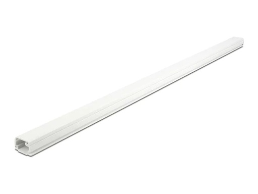 [90205217 1291868] Delock Kabelkanal selbstklebend 1 m x 22 mm Weiss
