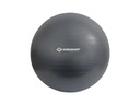 Schildkröt Fitness Gymnastikball 85 cm