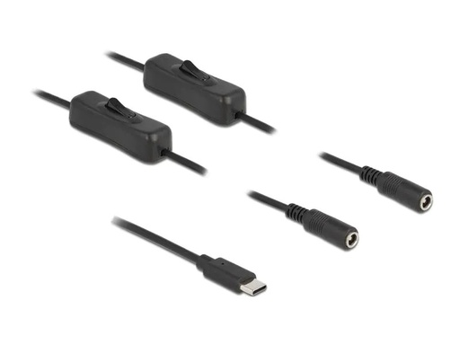 [90206884 1293989] Delock Hohlstecker Kabel USB Type-C zu 2 x DC mit Schalter 1 m
