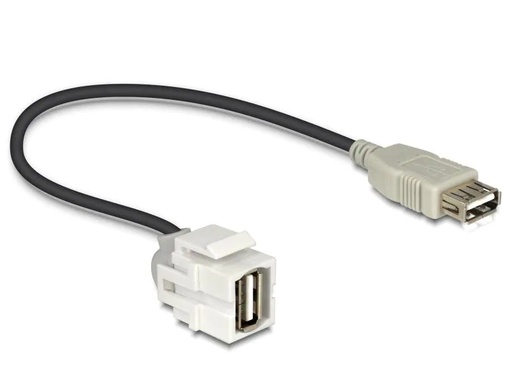[90032873 602915] Delock Keystone-Modul USB2.0, A - A, (f-f) 250° gewinkelt, Weiss