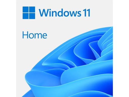 [90209273 1313719] Microsoft Windows 11 Home ESD, 64 bit