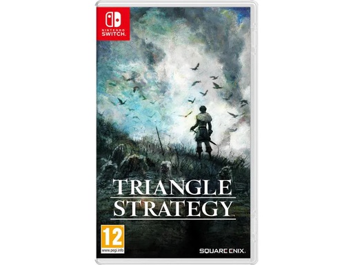 [90209822 1269071] Nintendo Triangle Strategy