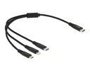 Delock USB-Ladekabel USB C - Lightning/Micro-USB B/USB C 0.3 m