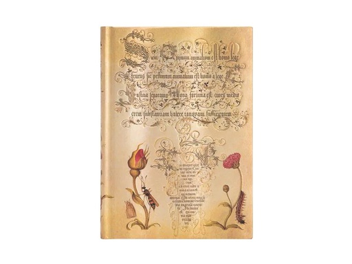 [90211005 1294974] Paperblanks Notizbuch Flämische Rose 18 x 23 cm, Blanko