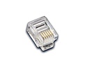 Wirewin Modularstecker RJ-12, 6P/6C, 100er-Pack