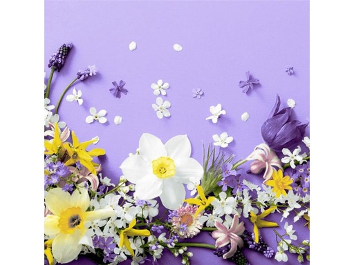 [90214342 1316293] Paper + Design Papierservietten Soft Spring Lila 33 cm x 33 cm, 20 Stück