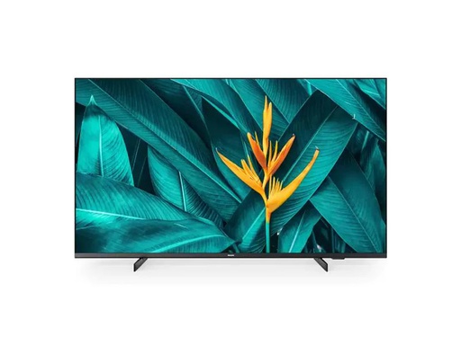 [90215811 1322868] Philips Hotel-TV 55HFL5214U/12 55