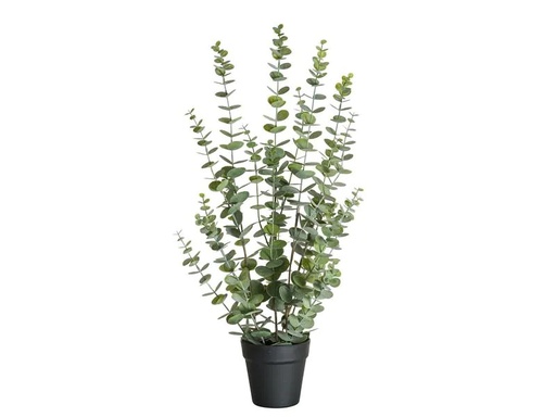 [90217068 1312366] Botanic-Haus Kunstpflanze Eukalyptus 76 cm