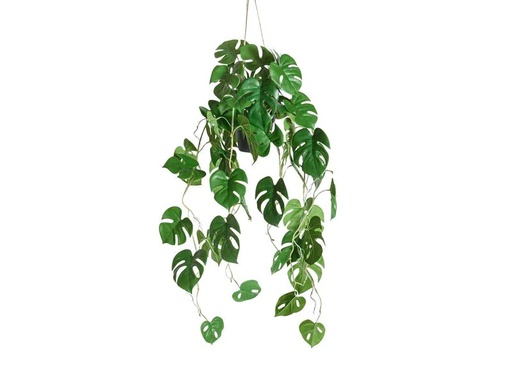 [90217078 1312357] Botanic-Haus Kunstpflanze Philodendron hängend 86 cm