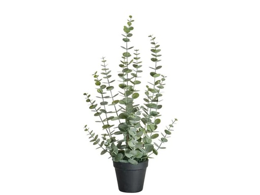 [90217130 1312365] Botanic-Haus Kunstpflanze Eukalyptus 58 cm