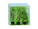 Windhager Tomatenhaus AluProfi