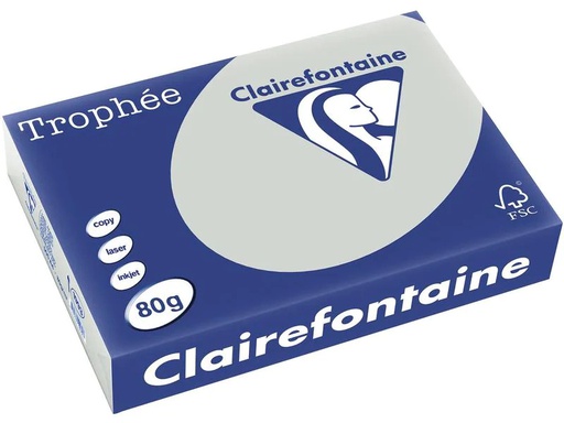 [90222463 1333040] Clairefontaine Kopierpapier Trophée A4, 80 g/m², Grau, 500 Blatt