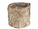 Opiflor Birkentopf Crusty, 10 cm Nature