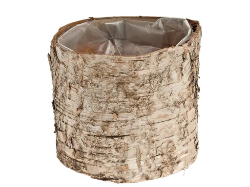 [90222823 1336339] Opiflor Birkentopf Crusty, 10 cm Nature