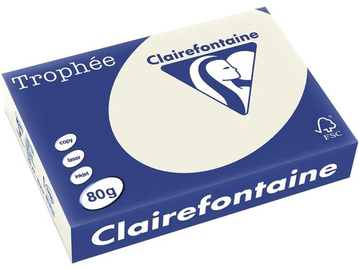 [90222826 1333039] Clairefontaine Kopierpapier Trophée A4, 80 g/m², Hellgrau, 500 Blatt