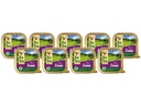 BioDog Nassfutter Lamm, 9 x 300g