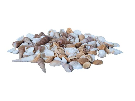 [90223465 1331326] Dekomat AG Muscheln, 300 g Braun/Weiss
