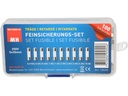Max Hauri Schmelzsicherung Set 5 x 20 mm Träge, 100 Stück