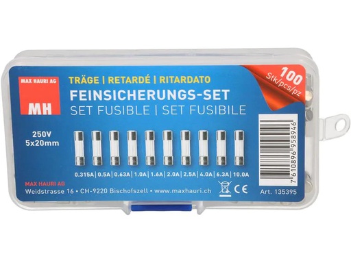 [90223503 1330761] Max Hauri Schmelzsicherung Set 5 x 20 mm Träge, 100 Stück