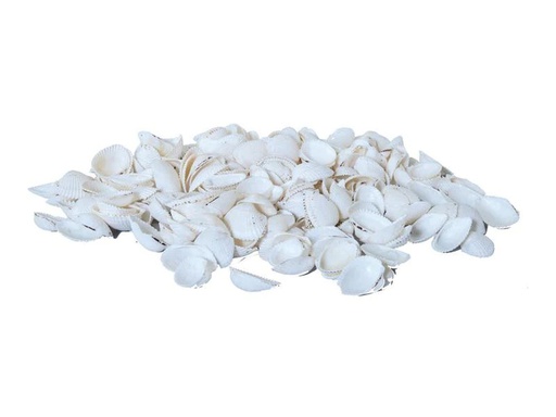 [90223604 1331323] Dekomat AG Muscheln, 300 g Weiss