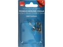 Max Hauri Schmelzsicherung 5 x 20 mm Flink 0.25 A, 5 Stück