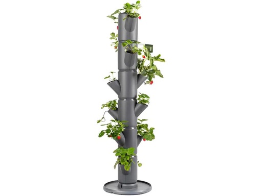 [90223975 1339175] Gusta Garden Aufzuchttöpfe SISSI STRAWBERRY Classic, Anthrazit