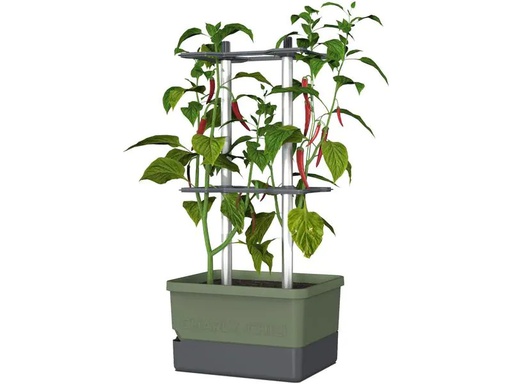 [90224031 1339184] Gusta Garden Pflanzentopf CHARLY CHILI Starterset, Dunkelgrün