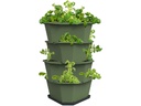 Gusta Garden Aufzuchttöpfe PAUL POTATO Starter, 4 Etagen, Dunkelgrün
