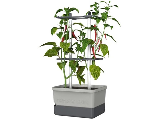 [90224124 1339183] Gusta Garden Pflanzentopf CHARLY CHILI Starterset, Hellgrau