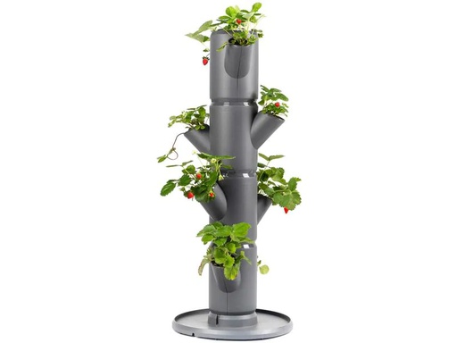 [90224133 1339177] Gusta Garden Aufzuchttöpfe SISSI STRAWBERRY Starterset, Anthrazit