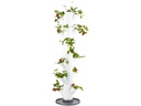Gusta Garden Aufzuchttöpfe SISSI STRAWBERRY Classic, Weiss
