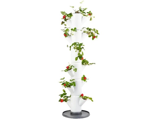 [90224145 1339174] Gusta Garden Aufzuchttöpfe SISSI STRAWBERRY Classic, Weiss