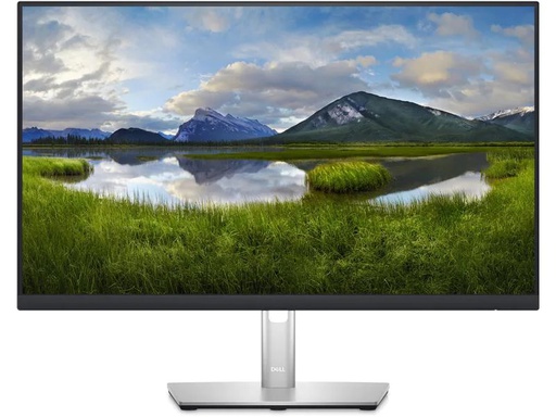 [90224159 1344177] DELL Monitor P2423D
