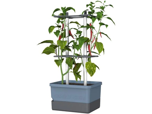 [90224284 1339185] Gusta Garden Pflanzentopf CHARLY CHILI Starterset, Blau