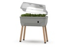 Gusta Garden Hochbeet SAMMY SALAD Starterset, Hellgrau
