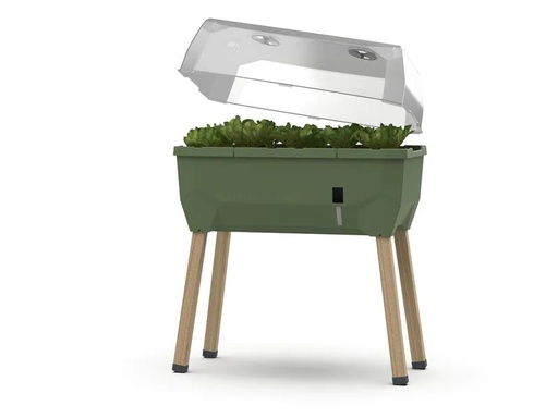 [90224465 1339188] Gusta Garden Hochbeet SAMMY SALAD Starterset, Dunkelgrün
