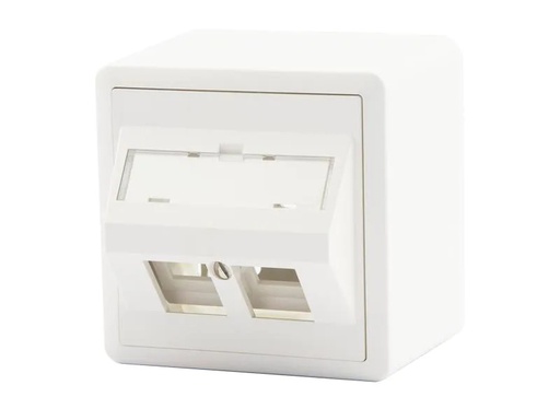 [90225718 1358956] Dätwyler IT Infra Netzwerkdose AP54 2x Keystone 1 Stück