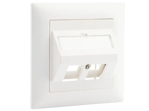 [90225768 1358957] Dätwyler IT Infra Netzwerkdose UP60 2x Keystone 1 Stück