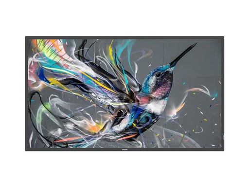 [90229329 1292411] Philips Public Display Q-Line 43BDL3511Q/00 43